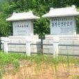 六頂山古墓群