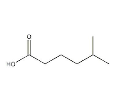 異庚酸 異庚酸