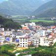 仙霞村 仙霞村