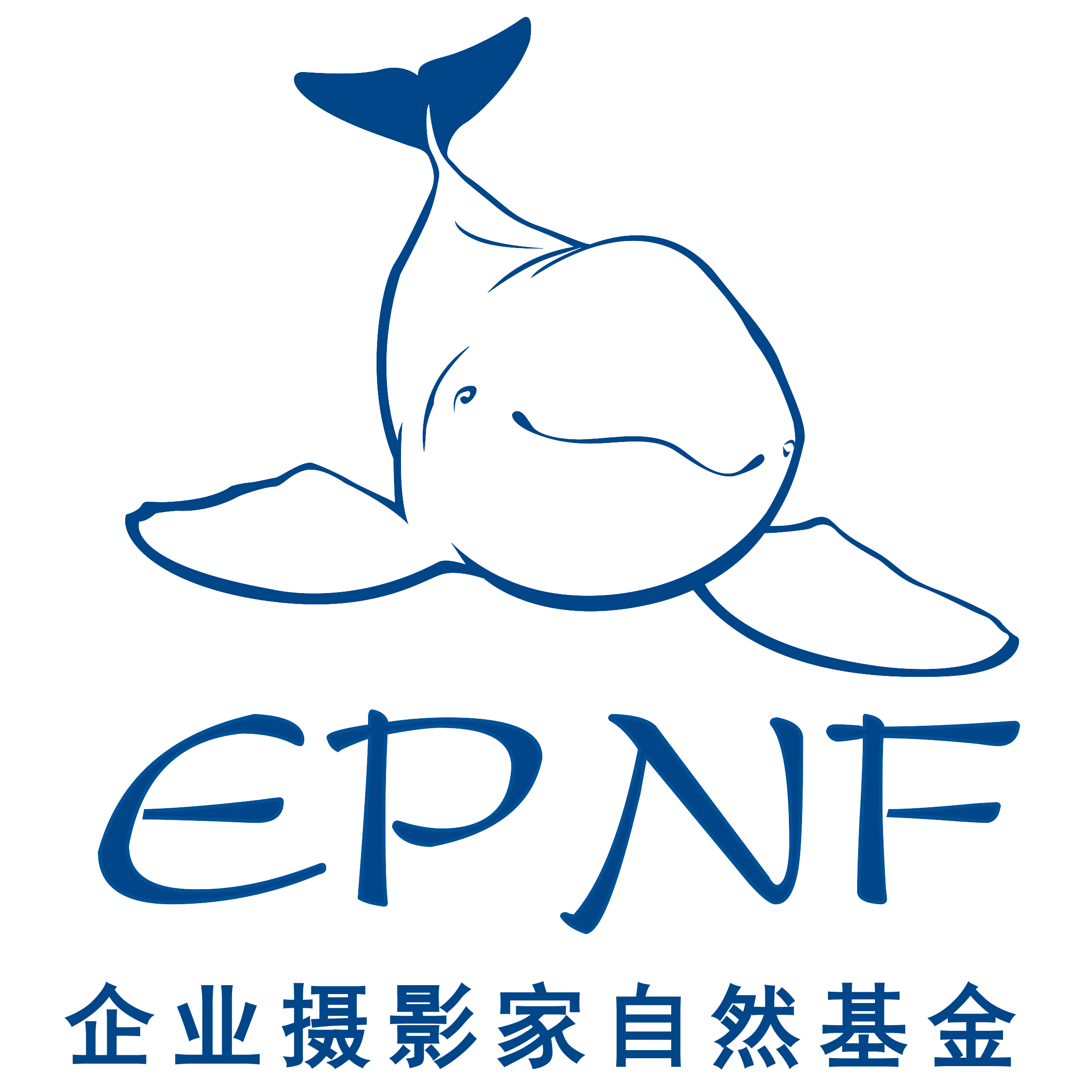 金江豚國際自然攝影公益大賽