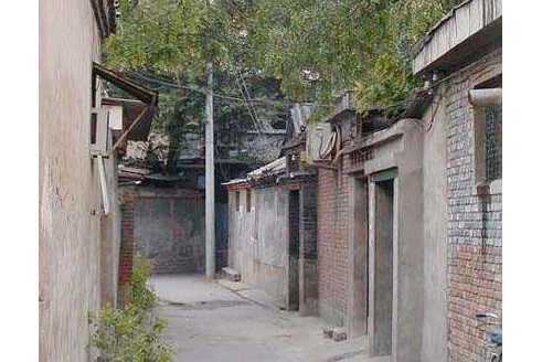 誠實胡同 誠實胡同