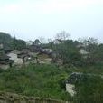 大慶村(雲南省文山州丘北縣大慶村)