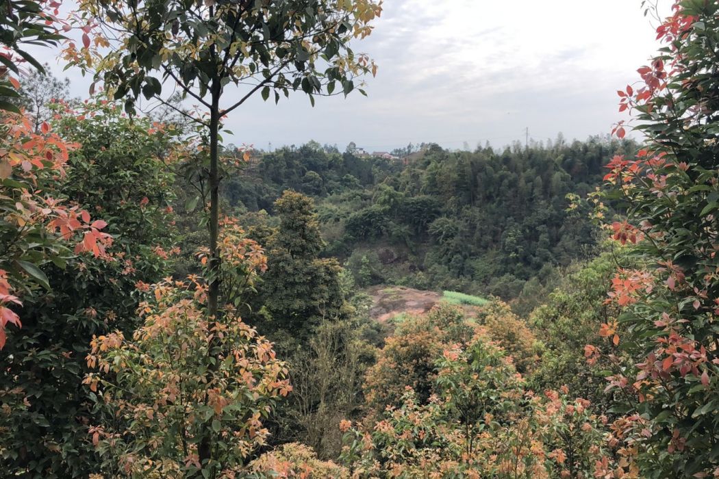 象家屋基 象家屋基