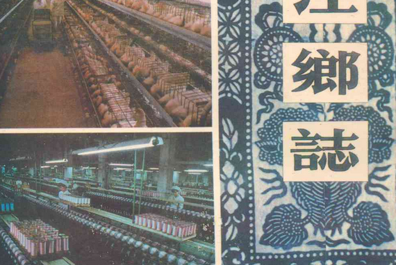 新涇鄉志 新涇鄉志