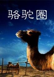 駱駝圈 駱駝圈