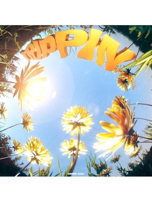 TRIPPIN(Derek DALI演唱的歌曲) TRIPPIN(Derek DALI演唱的歌曲)