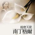 提燈天使(2007年驛站出版的圖書) 提燈天使(2007年驛站出版的圖書)