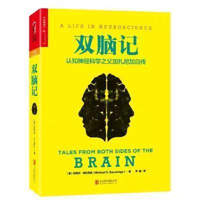 雙腦記 雙腦記