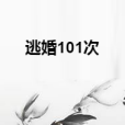 逃婚101次 逃婚101次