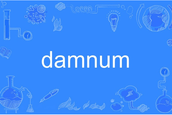 damnum damnum