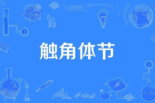 觸角體節 觸角體節