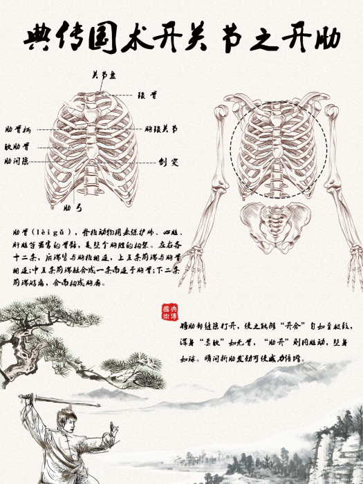 開肋 開肋