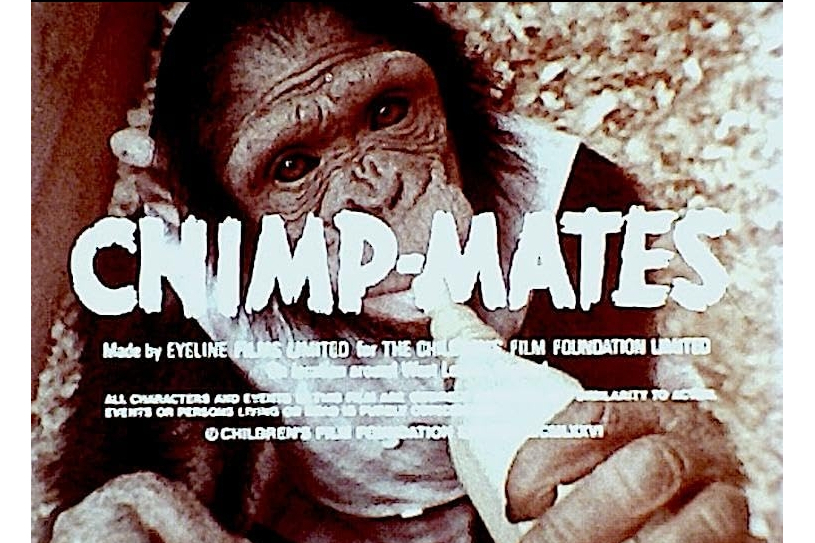 Chimpmates第二季 Chimpmates第二季