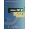 Visual Basic資料庫編程 Visual Basic資料庫編程