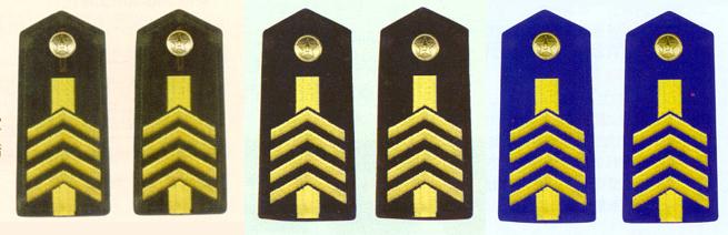 陸海空軍四級專業軍士肩章(1993-1999)