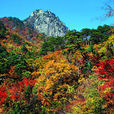 韓國五台山 韓國五台山