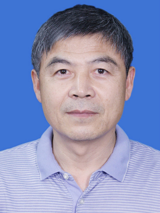 楊傑(安徽省合肥市商務局二級調研員)