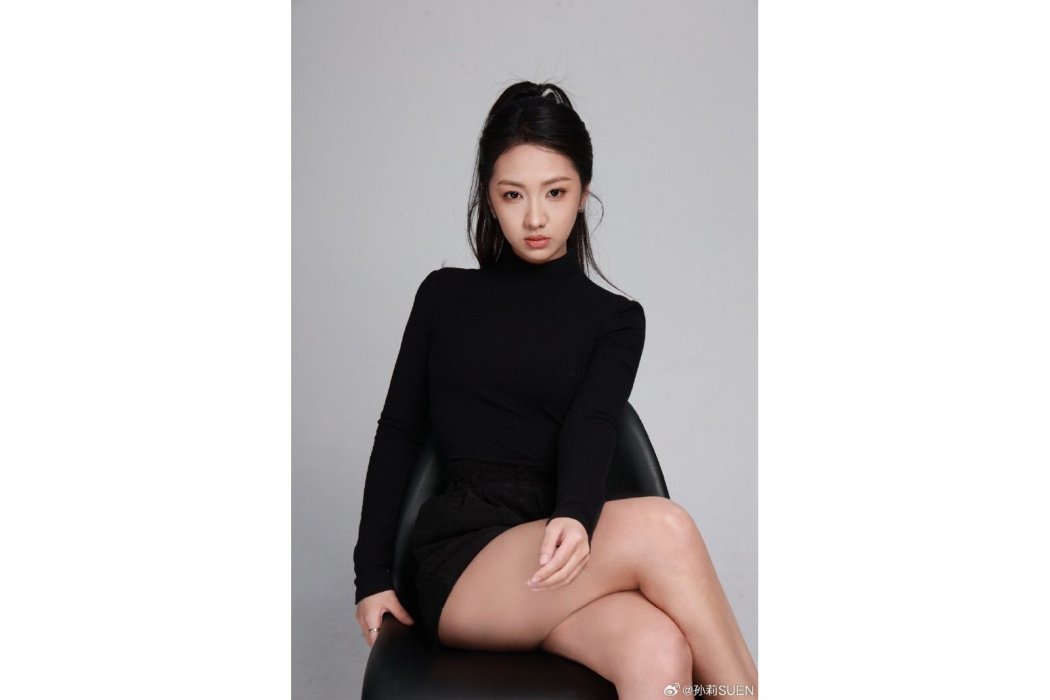 孫莉(中國內地影視女演員) 孫莉(中國內地影視女演員)