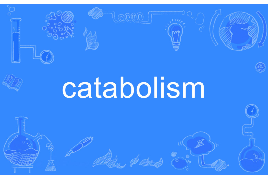 catabolism catabolism