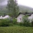 灣則村(山西省長治市武鄉縣洪水鎮下轄村) 灣則村(山西省長治市武鄉縣洪水鎮下轄村)