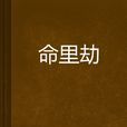 命里劫 命里劫