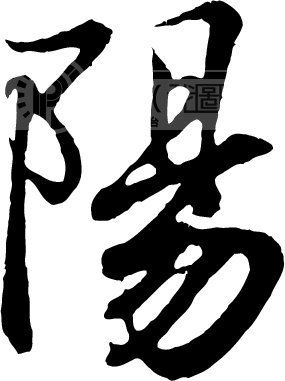 陽(漢語文字)