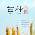 芒種(芒種節)