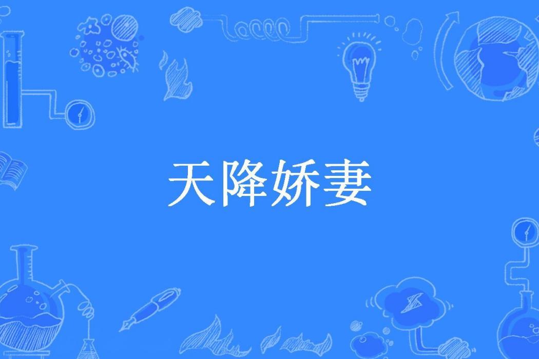 天降嬌妻(雲淡風輕所著小說) 天降嬌妻(雲淡風輕所著小說)