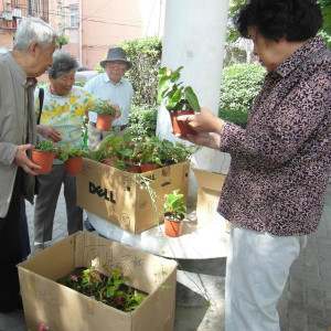 綠芽公益