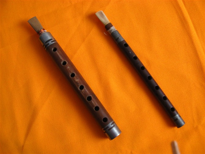 管子(中國民族吹管樂器之一)