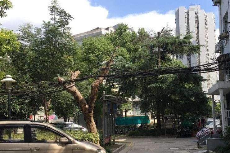 沿南新村 沿南新村