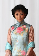 身份的證明(2008年毛衛寧執導電視劇)