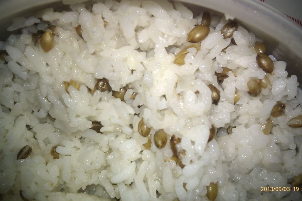 青稞飯