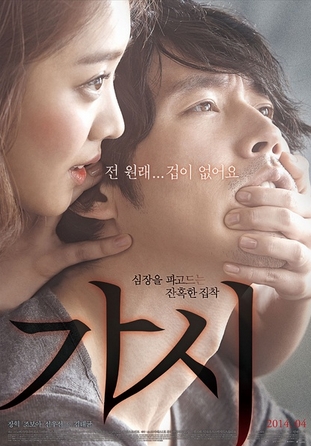 刺(2014年張赫、趙寶兒主演韓國電影《荊棘》)