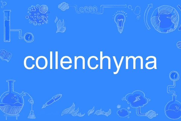 collenchyma collenchyma