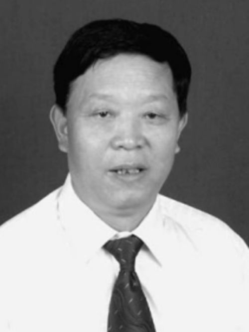 劉德玉(吉林東光汽車零部件有限責任公司總經理) 劉德玉(吉林東光汽車零部件有限責任公司總經理)