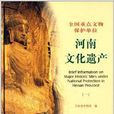 河南文化遺產1 河南文化遺產1