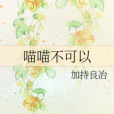 喵喵不可以 喵喵不可以