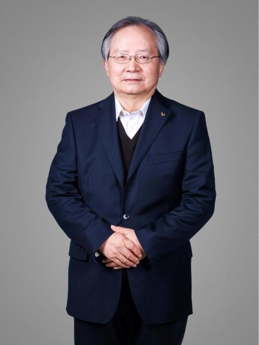陳文俊(延安大學西安創新學院教授)