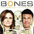 識骨尋蹤(BONES(美國霍士廣播公司2005年出品電視劇)) 識骨尋蹤(BONES(美國霍士廣播公司2005年出品電視劇))