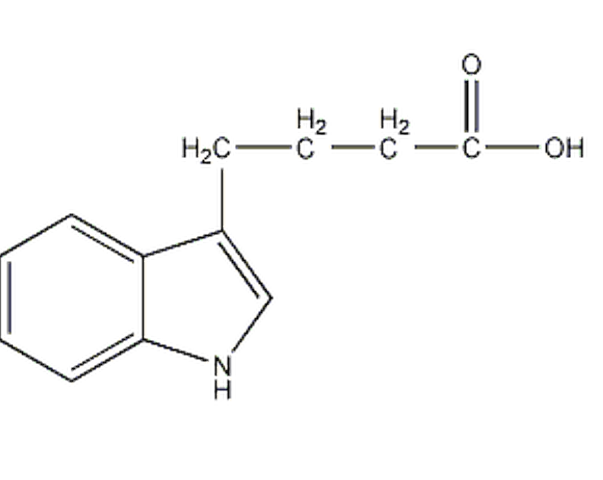 3-吲哚丁酸(氮茚基丁酸)