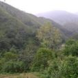坪河下寨村 坪河下寨村