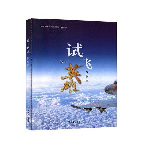 試飛英雄(2020年中國盲文出版社出版的圖書)