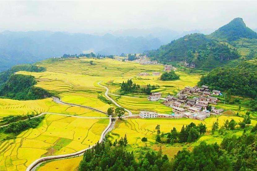 石板村(貴州省貴定縣沿山鎮下轄的少數民族特色村寨) 石板村(貴州省貴定縣沿山鎮下轄的少數民族特色村寨)