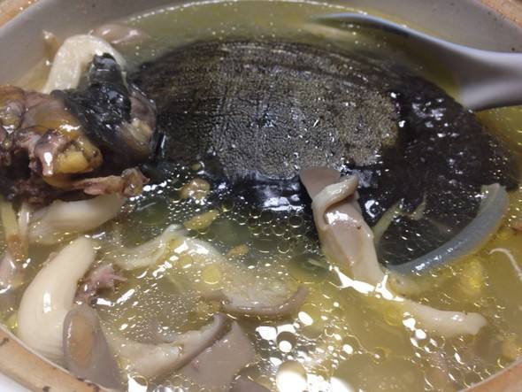 羊肉鱉湯 羊肉鱉湯