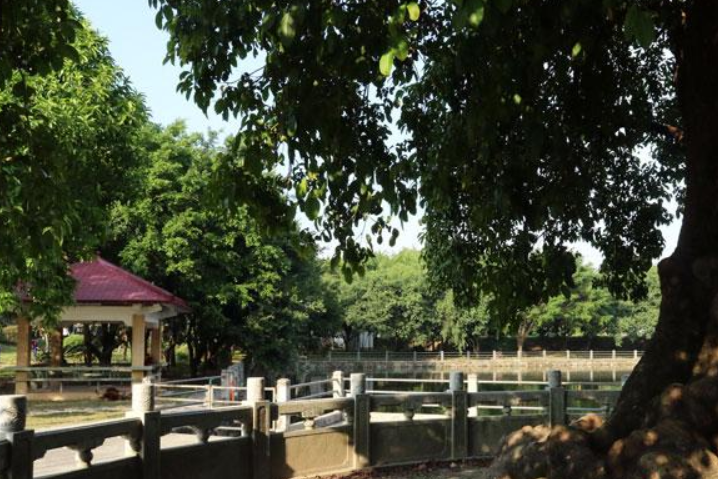 秋楓公園 秋楓公園