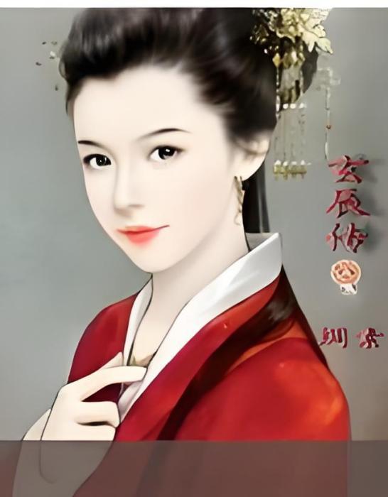 玄辰傳 玄辰傳