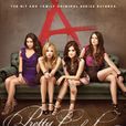 美少女的謊言(PLL（美國2010年ABCfamily出品電視劇）)