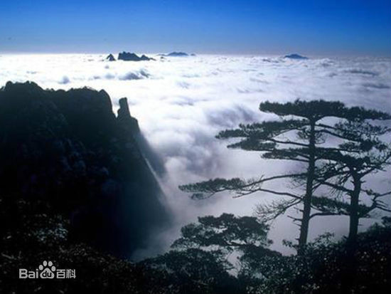 江西銅鈸山國家級自然保護區