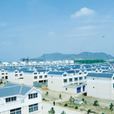 王圩新村 王圩新村